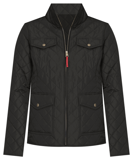 Women's Solid Quilted Jacket