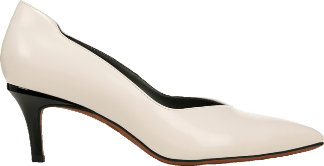 Women's Aurora Pointed Toe Pumps