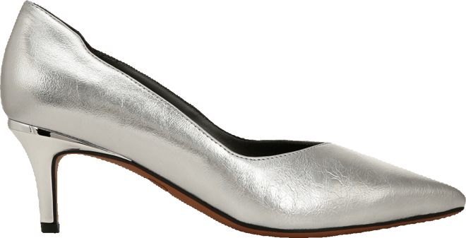 Women's Aurora Pointed Toe Pumps