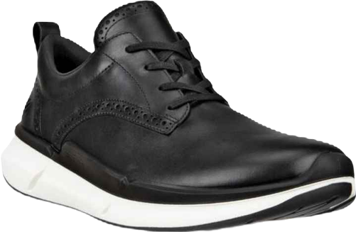 Men's Biom 2.2 Hybrid Sneaker