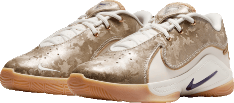 LeBron XXII Big Kids' Basketball Shoes