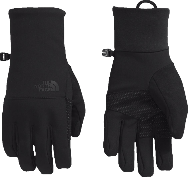 Men's Apex Insulated E-Tip Logo Gloves