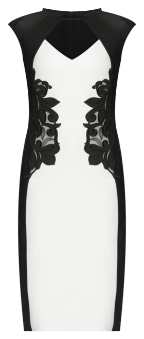 Women's Applique Pencil Dress