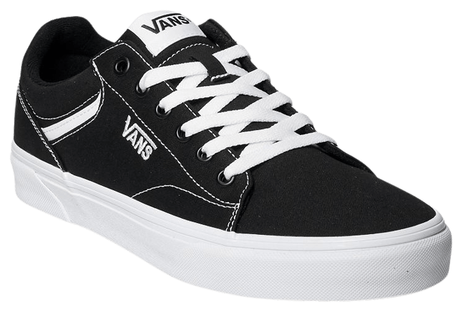 Vans Seldan Men s Skate Shoes