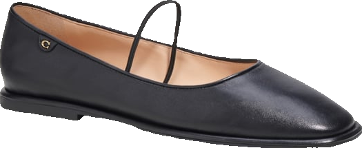 COACH Women's Emilia Mary Jane Ballet Flats - Macy's