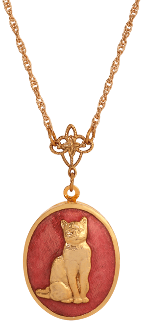 Enamel Oval Cat Locket Necklace