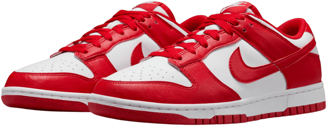 Nike Dunk Low Next Nature Women's Shoes
