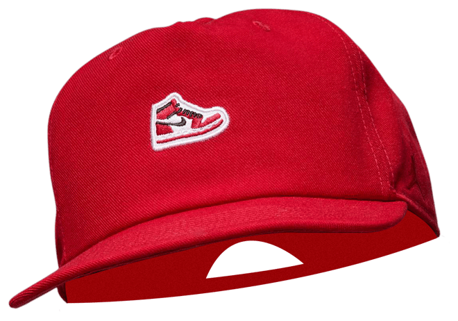 Jordan Pro Strukturierte Cap