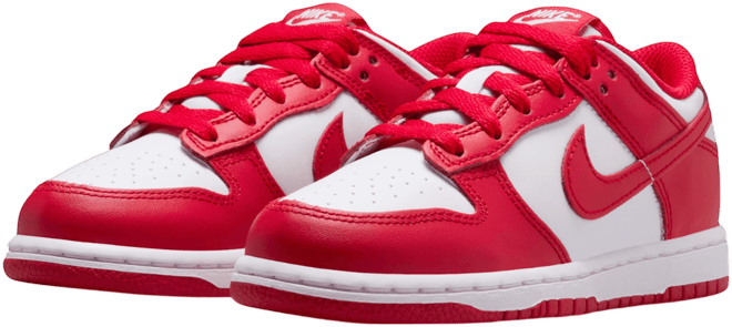 Nike Dunk Low Little Kids' Shoes