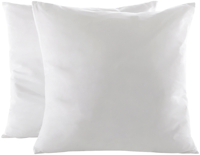 Cheer Collection Natural Kapok 2-Pack Pillow Inserts, 16