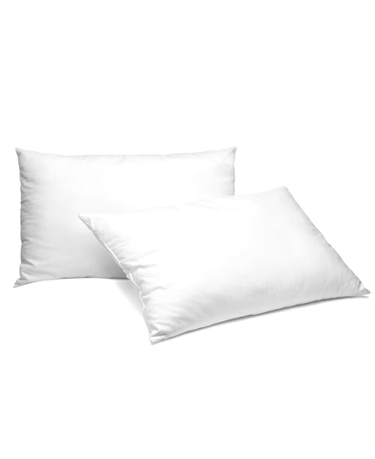 2-Pack Pillow Insert, 12" x 20"