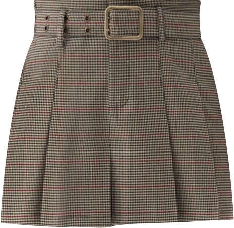 Women's Belted Pleated Mini Skirt