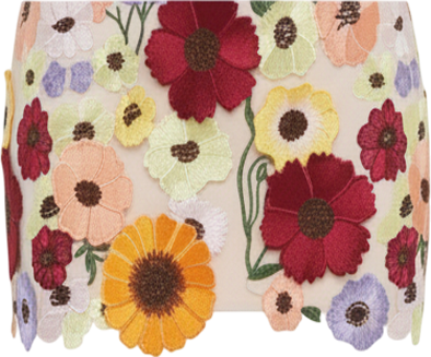 Women's Floral Embroidered Mini Skirt