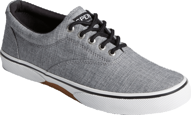 Men's Halyard Cvo Sneaker