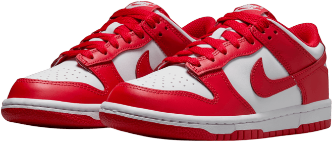 Nike Dunk Low Big Kids' Shoes