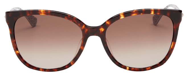 Kate spade best sale britton sunglasses