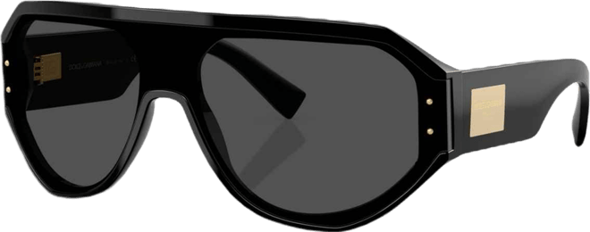 Men's Sunglasses DG4481
