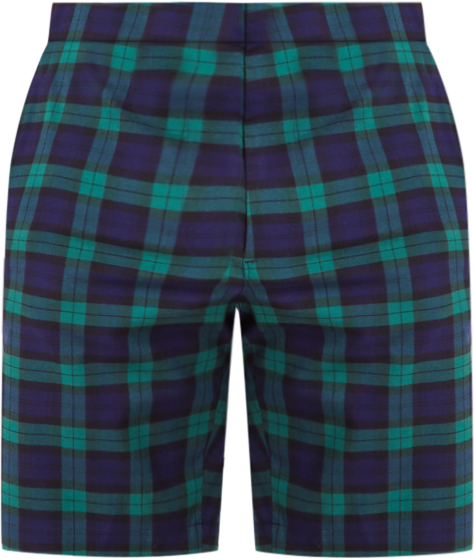 Club selling Room Men’s Island Breeze Plaid Shorts Size 44