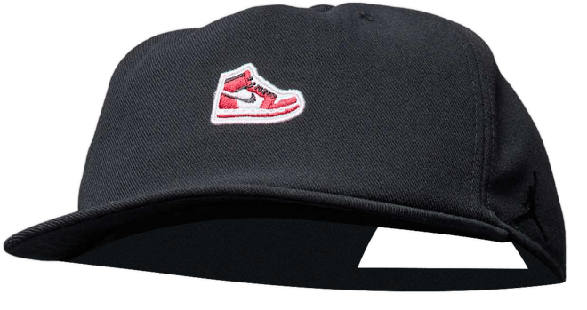 Jordan Pro Structured Hat