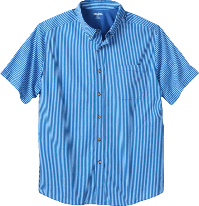 Big & Tall Short Sleeve Wrinkle-Free Sport Shirt