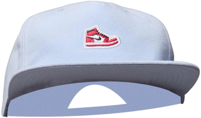 Jordan Pro Gorra con estructura