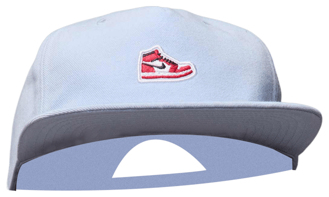 Jordan Pro Structured Hat