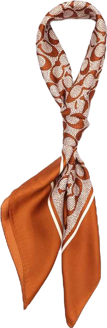 Women's Vintage Signature Print Silk Square Scarf