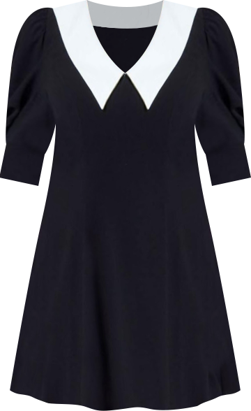 Women's Plus Size Contrast Collar Mini Dress