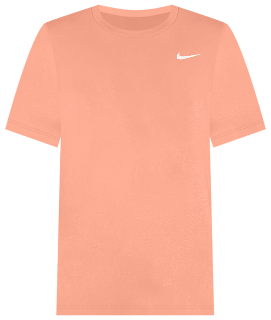 Nike Dri-FIT Men's Fitness T-Shirt