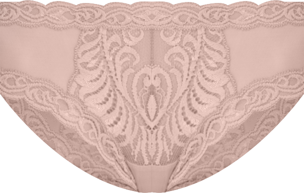 Feathers Low-Rise Sheer Hipster Underwear Lingerie 753023