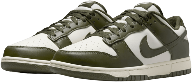 Nike Dunk Low Retro Men's Shoes