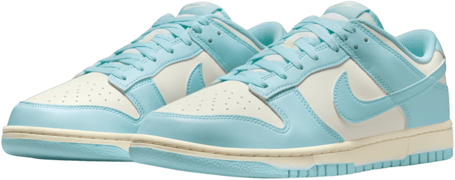 Nike Dunk Low Retro Men's Shoes