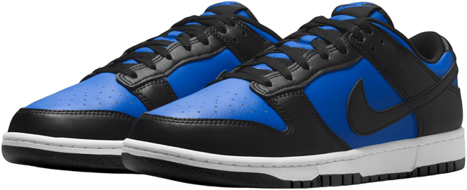 Nike Dunk Low Retro Men's Shoes