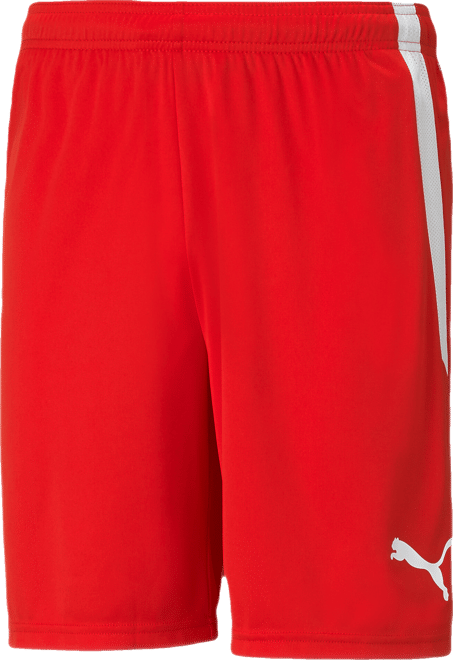 PUMA teamLIGA Men's Soccer Shorts