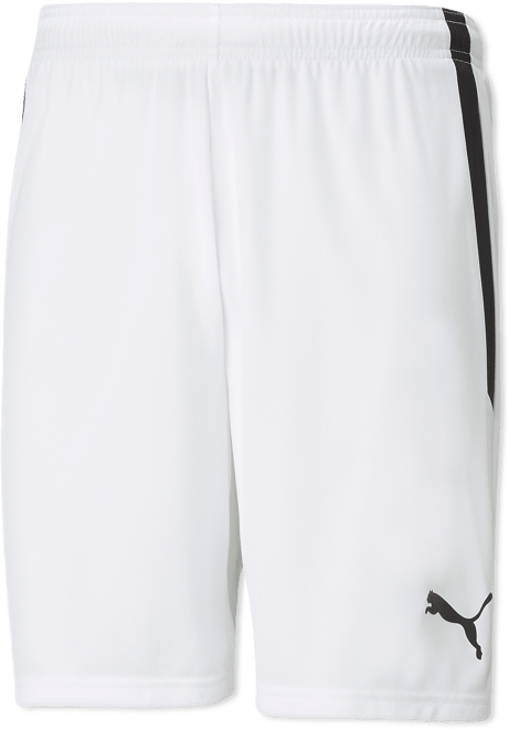 PUMA teamLIGA Men's Soccer Shorts