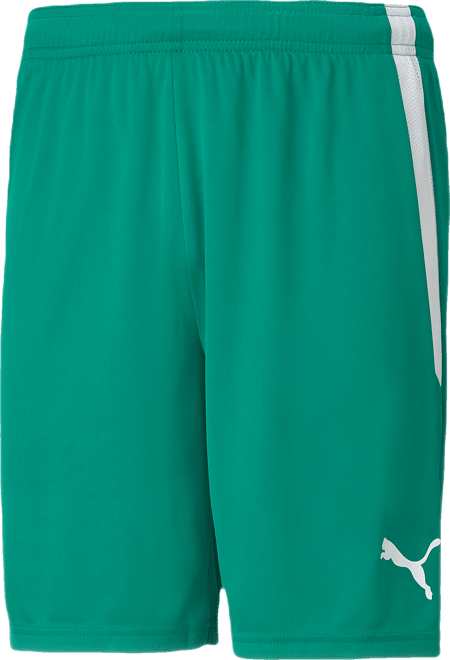 PUMA teamLIGA Men's Soccer Shorts