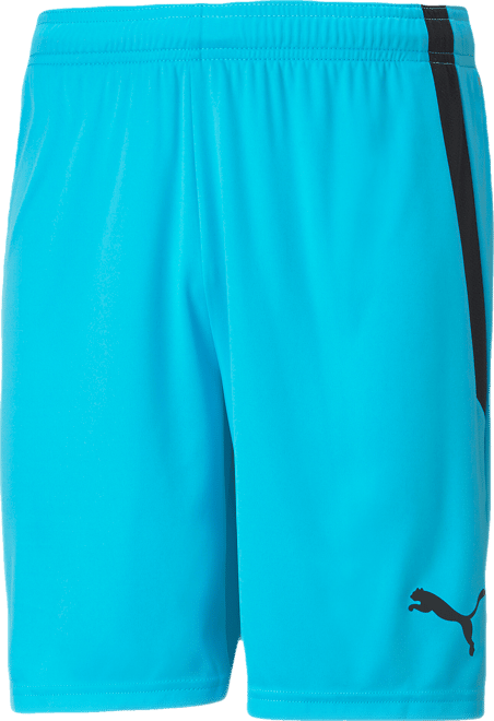 PUMA teamLIGA Men's Soccer Shorts