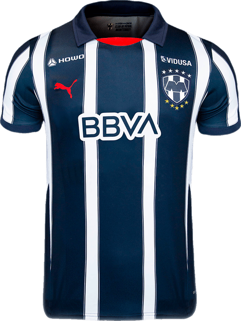 PUMA C.F. Monterrey 24/25 Home Replica Big Kids' Soccer Jersey