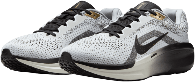 Nike Winflo 11 SE Men's Road Running Shoes