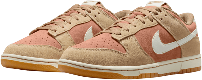 Nike Dunk Low Retro SE Men's Shoes