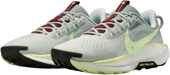 Nike Pegasus Trail 5 Men's Trail Running Shoes