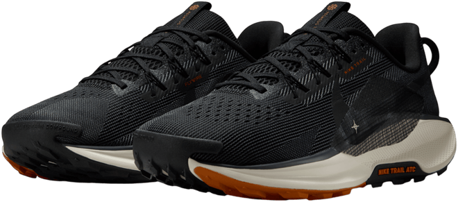 Nike Pegasus Trail 5 Men's Trail Running Shoes