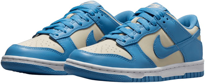Nike Dunk Low Big Kids' Shoes