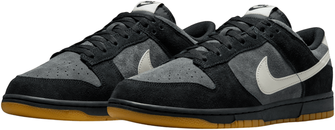 Nike Dunk Low Retro SE Men's Shoes