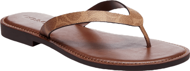 Women's Brianna Flip Flop Sandals