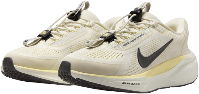 Nike Pegasus EasyOn Women's Road Running Shoes