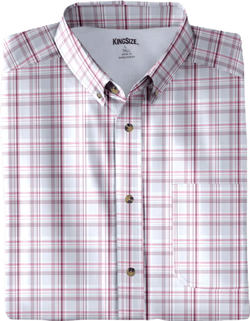Big & Tall Short Sleeve Wrinkle-Free Sport Shirt