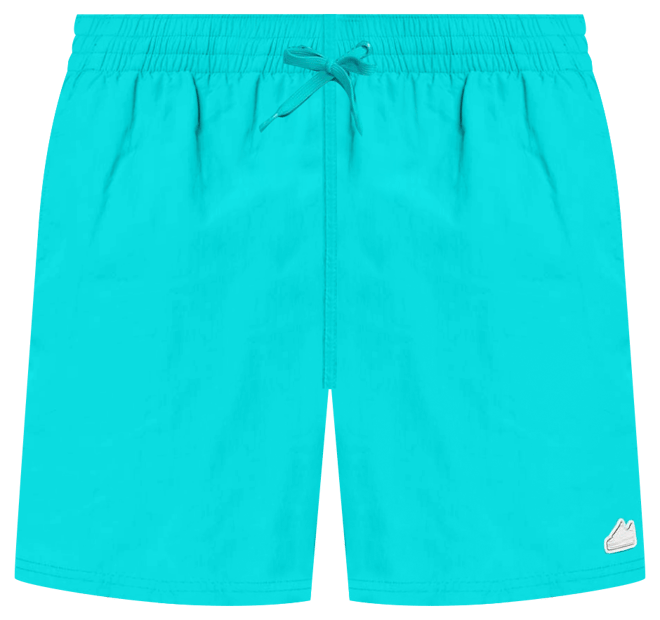 Nike Swim Breaker Men's 5" Fully Lined Volley Shorts