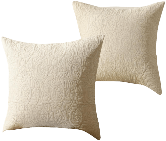 2 Pack Throw Pillow Cover Euro Sham Covers Lumbar Pillow Cover
