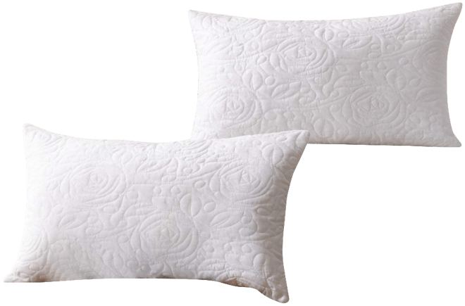 2 Pack Throw Pillow Cover Euro Sham Covers Lumbar Pillow Cover